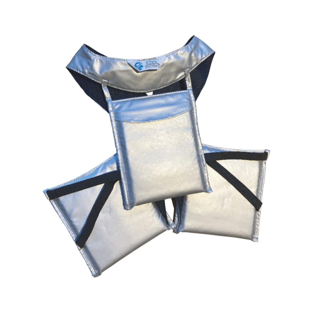 ドライアイス冷タスキ